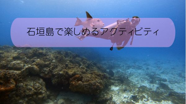 石垣島で楽しめるアクティビティ